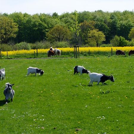 Ferienwohnungen Auf Dem Ferienhof Sell Stoltebüll エクステリア 写真